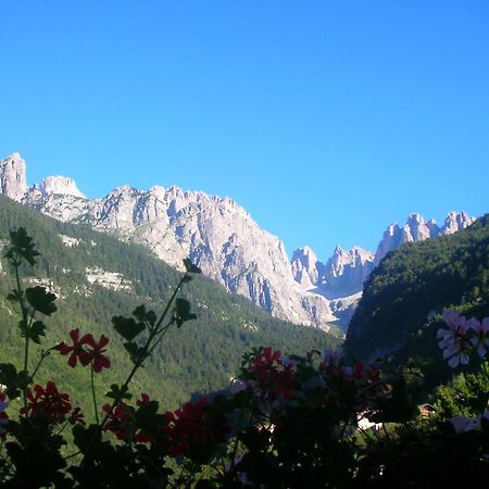 Hotel Garni Lago Alpino Molveno Exteriér fotografie