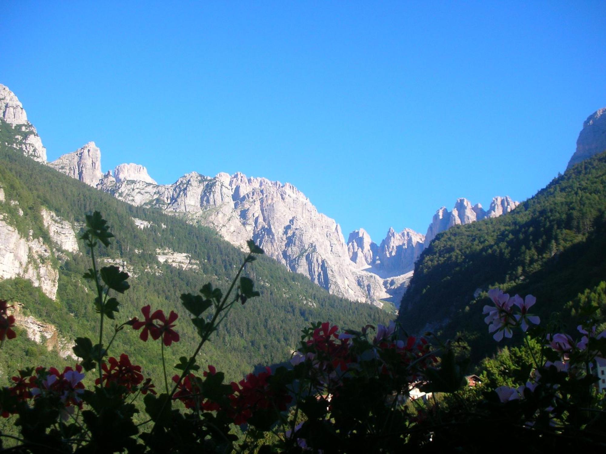 Hotel Garni Lago Alpino Molveno Exteriér fotografie