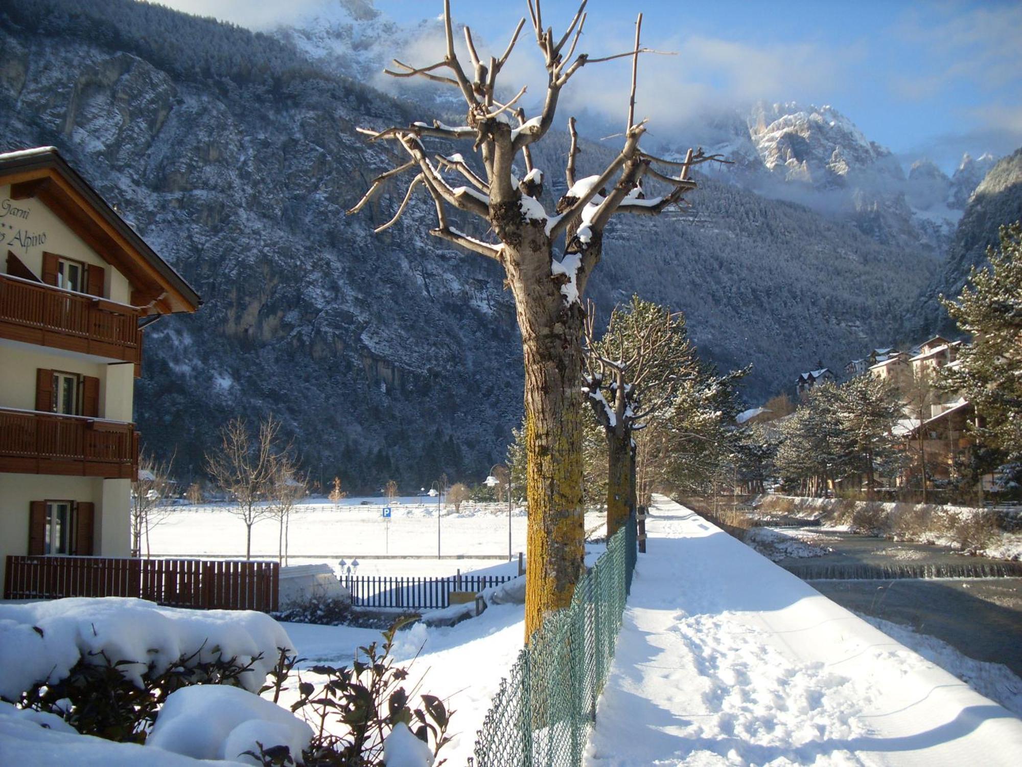 Hotel Garni Lago Alpino Molveno Exteriér fotografie